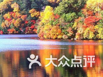 刚买的金边瑞香，咋放了几天就不香了？游戏画面