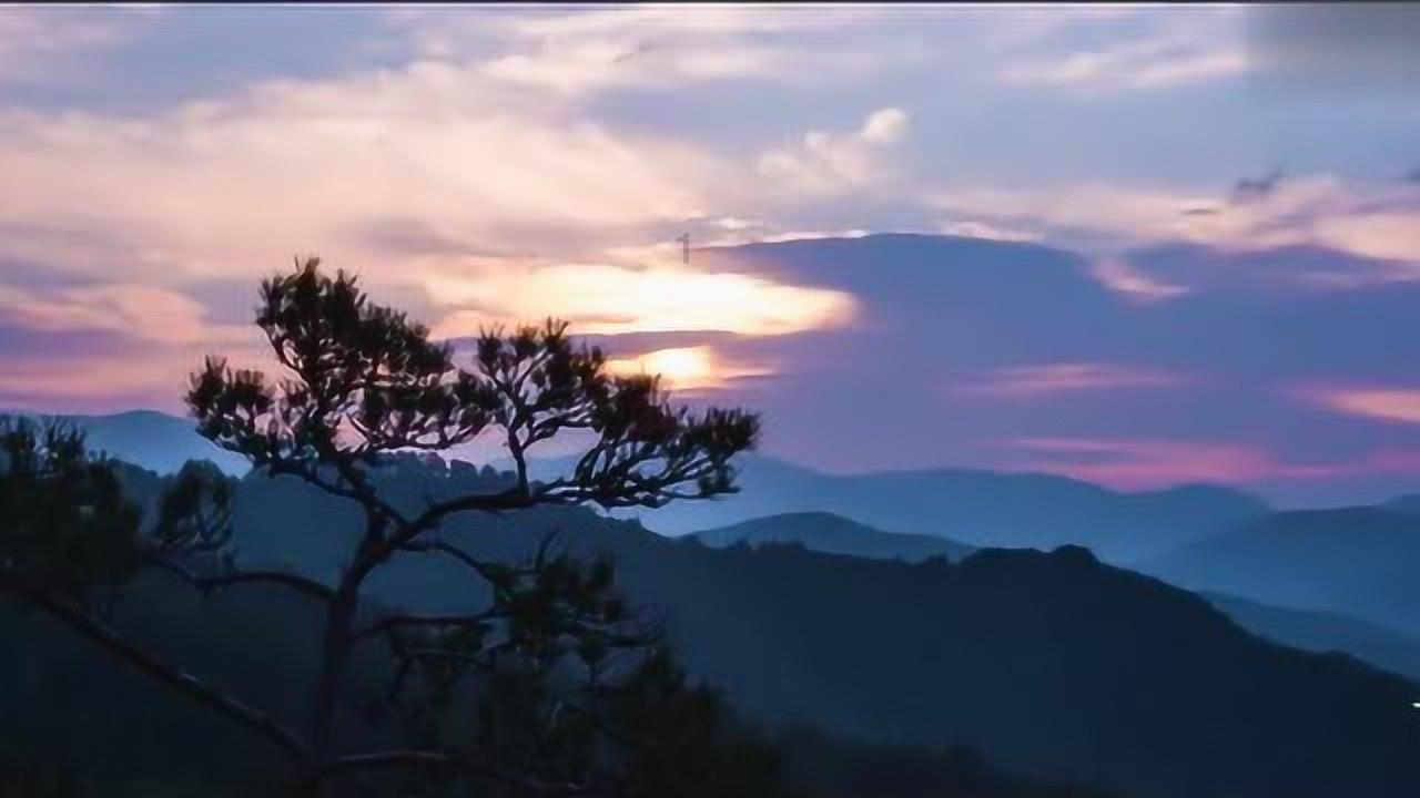 小恐龙来找茬