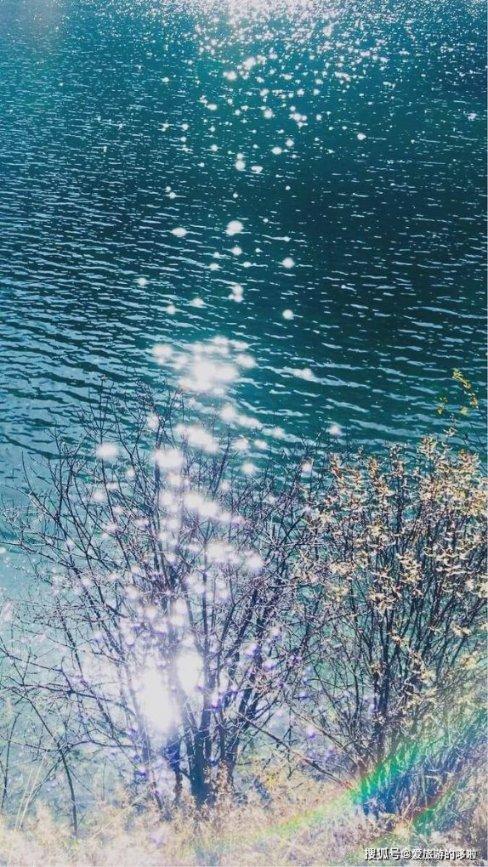 沪江开心词场