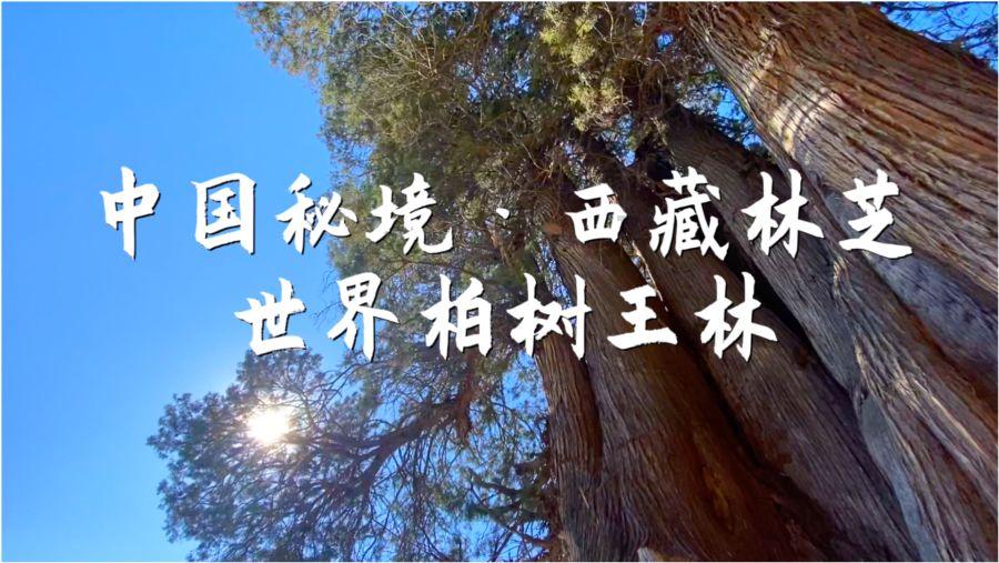 库巴西:在巴萨一线队首秀意味着很多,这是我的一个梦想