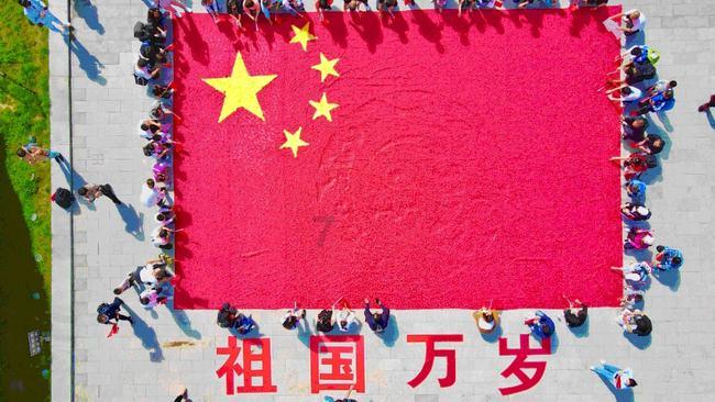 让动物飞一会