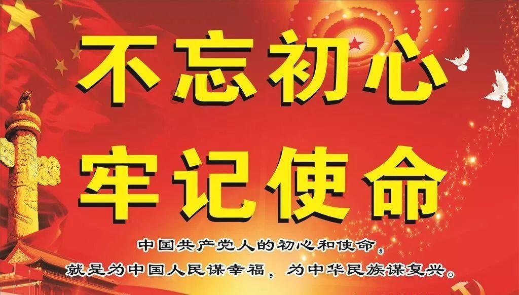 宠物绝育 是爱还是残忍游戏画面