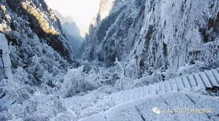 “张小泉”竞争对手“王麻子”直播菜刀拍蒜！这是否属于恶意竞争？游戏画面