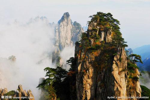 蓝山：年货市场闹新春