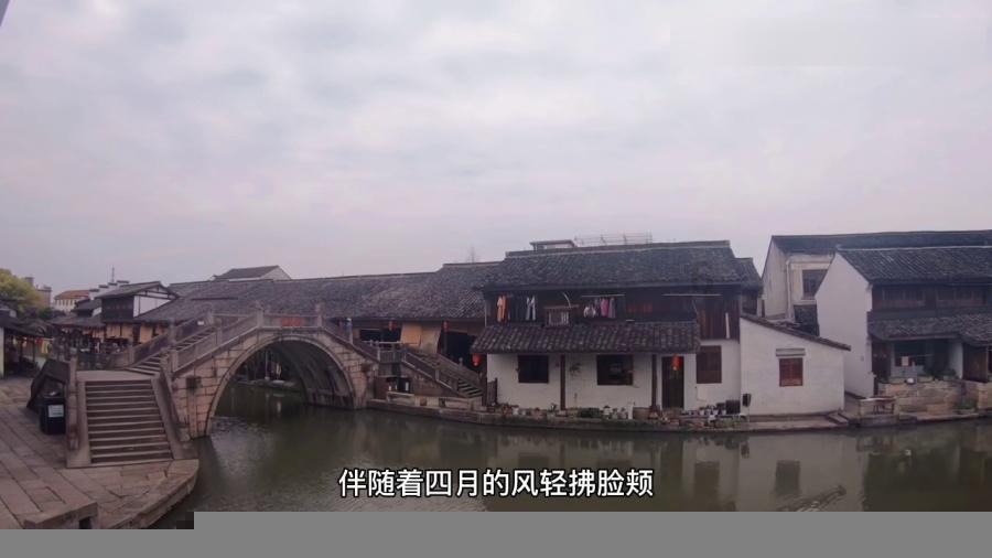 新忍出击