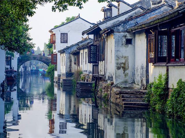 冷知识分享平台——现在的海鲜还能吃吗?专栏,让你眼界大开